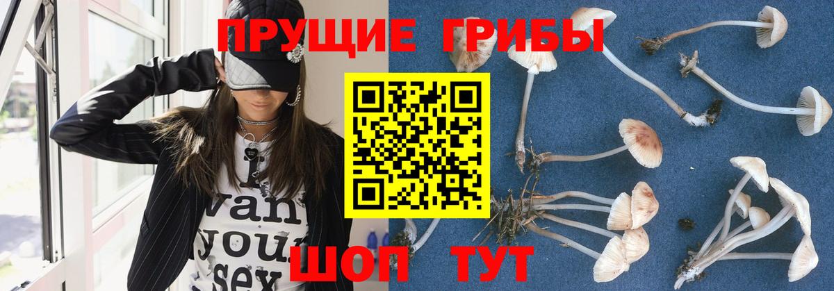 Псилоцибиновые грибы Psilocybine cubensis Железноводск